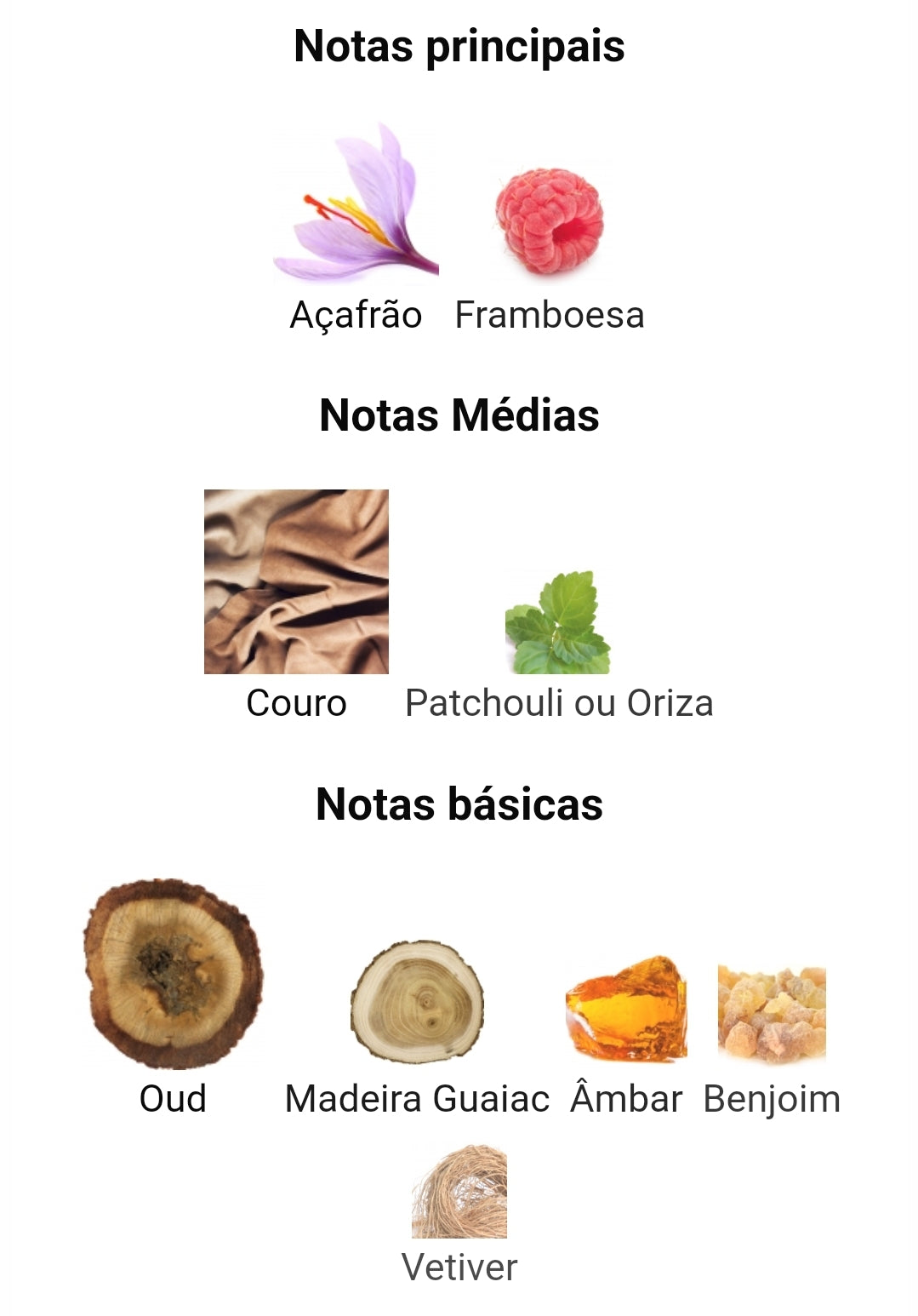 Oro Al Qiam | 100ml - Orgullo Lattafa