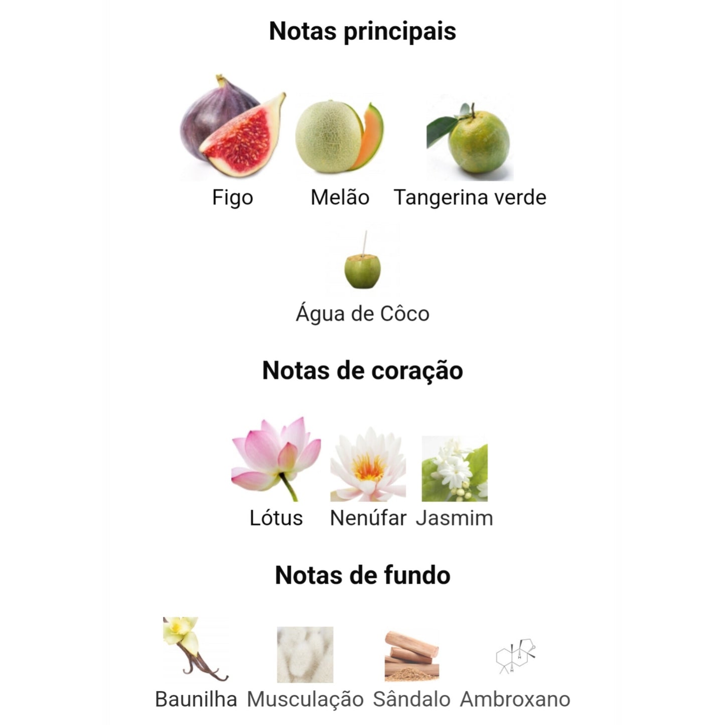 Mayar Natural Intense | 100ml - Lattafa