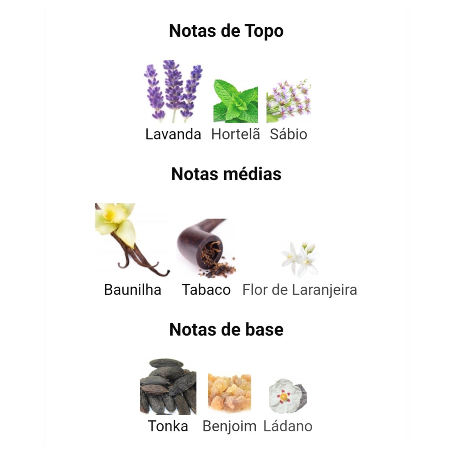 Los Hombres del Reino | 100ml - Latafa
