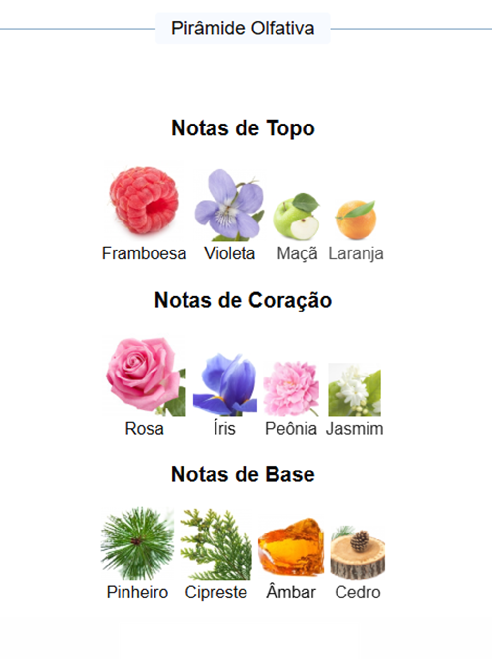 9 PM Pour Femme | 100ml - Afnan