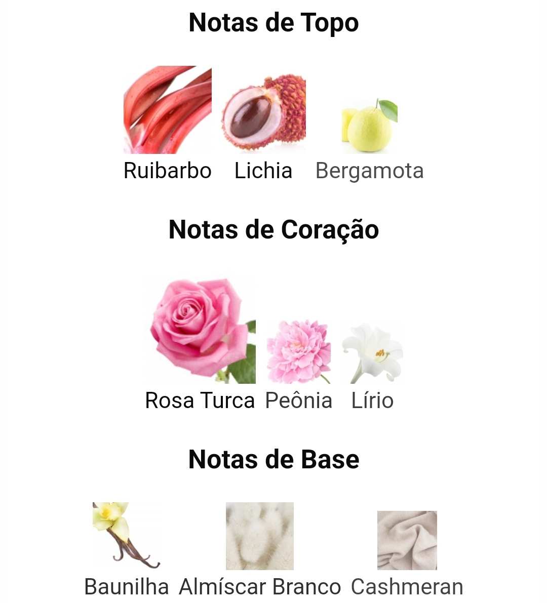 Delilah | DECANT 5ml