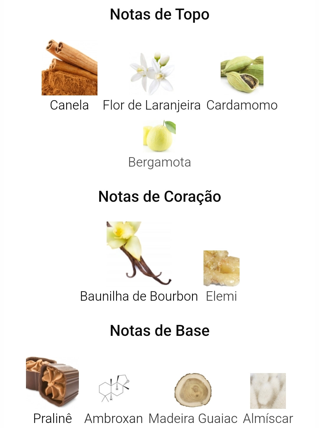 Liquid Brun | 100ml – French Avenue