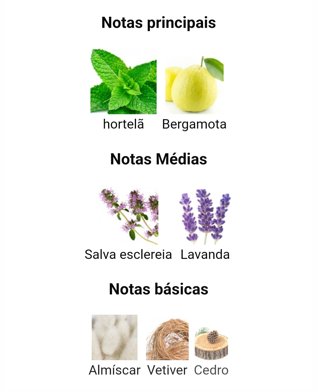 Tharwah Silver | 100ml - Lattafa