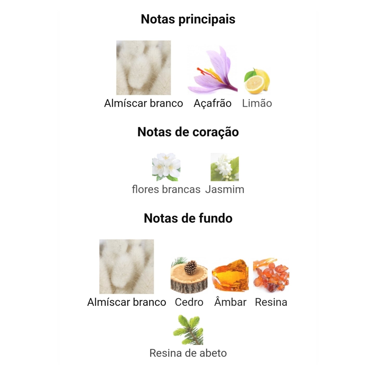 Opulent Musk | 100ml - Lattafa