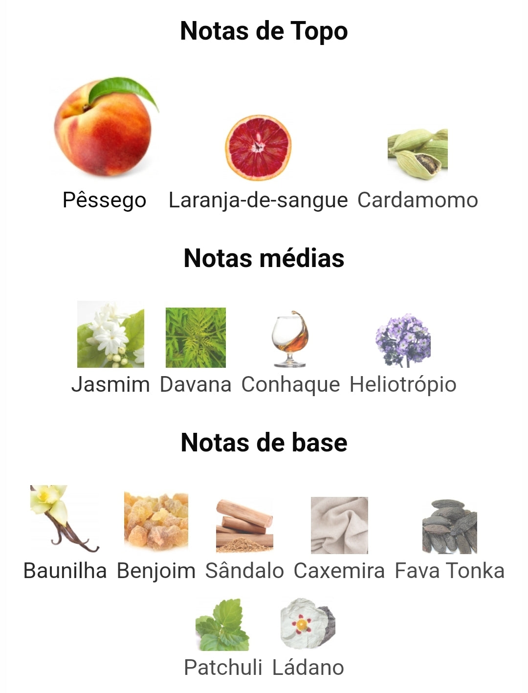 Taskeen | 100ml - Paris Corner