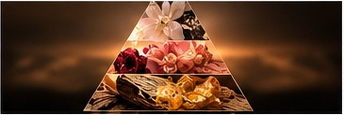 Pirâmide olfativa conceptual com notas florais, cítricas e amadeiradas
