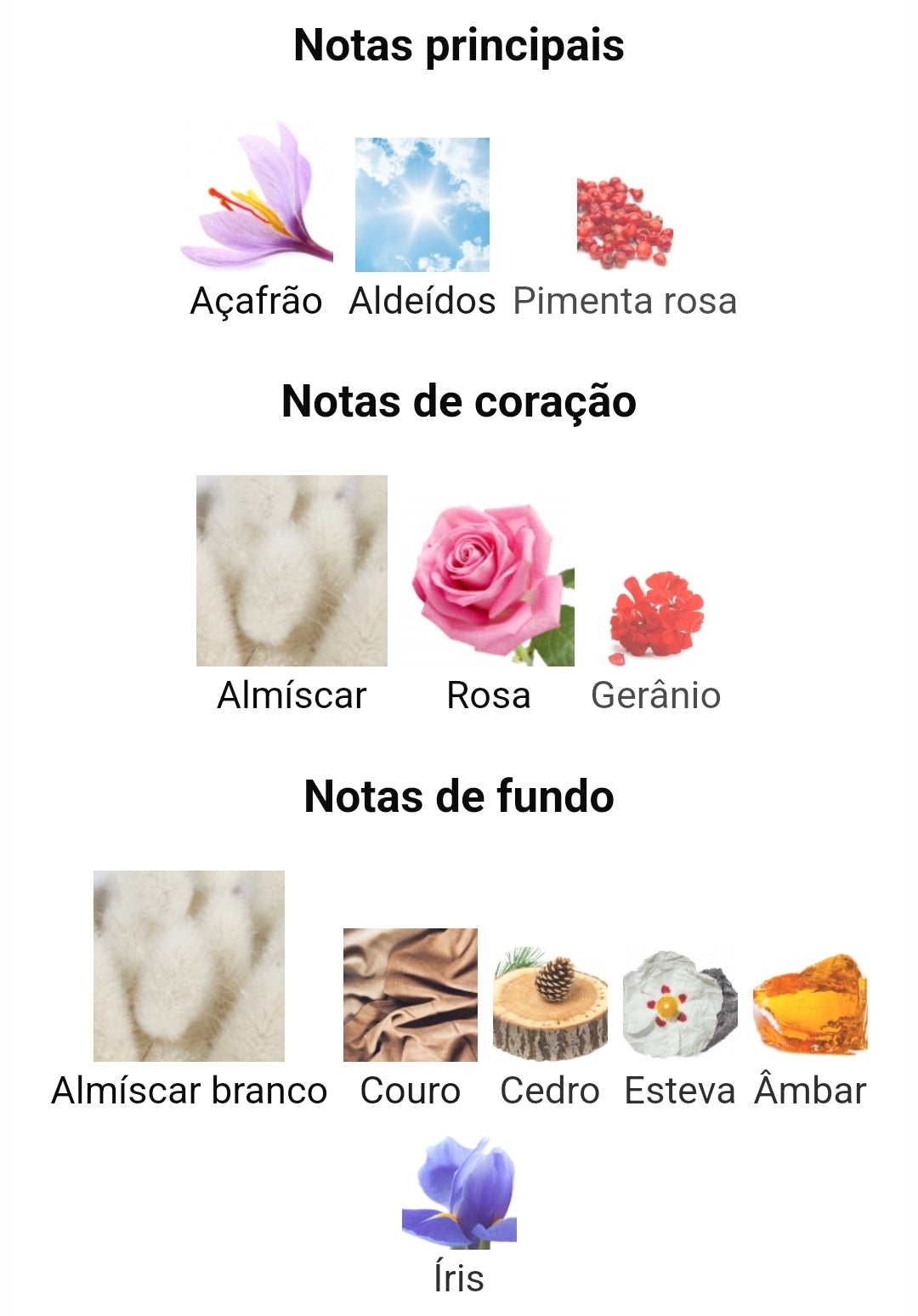 Amberley Amoroso 100ml - Maison Alhambra – imagem 4