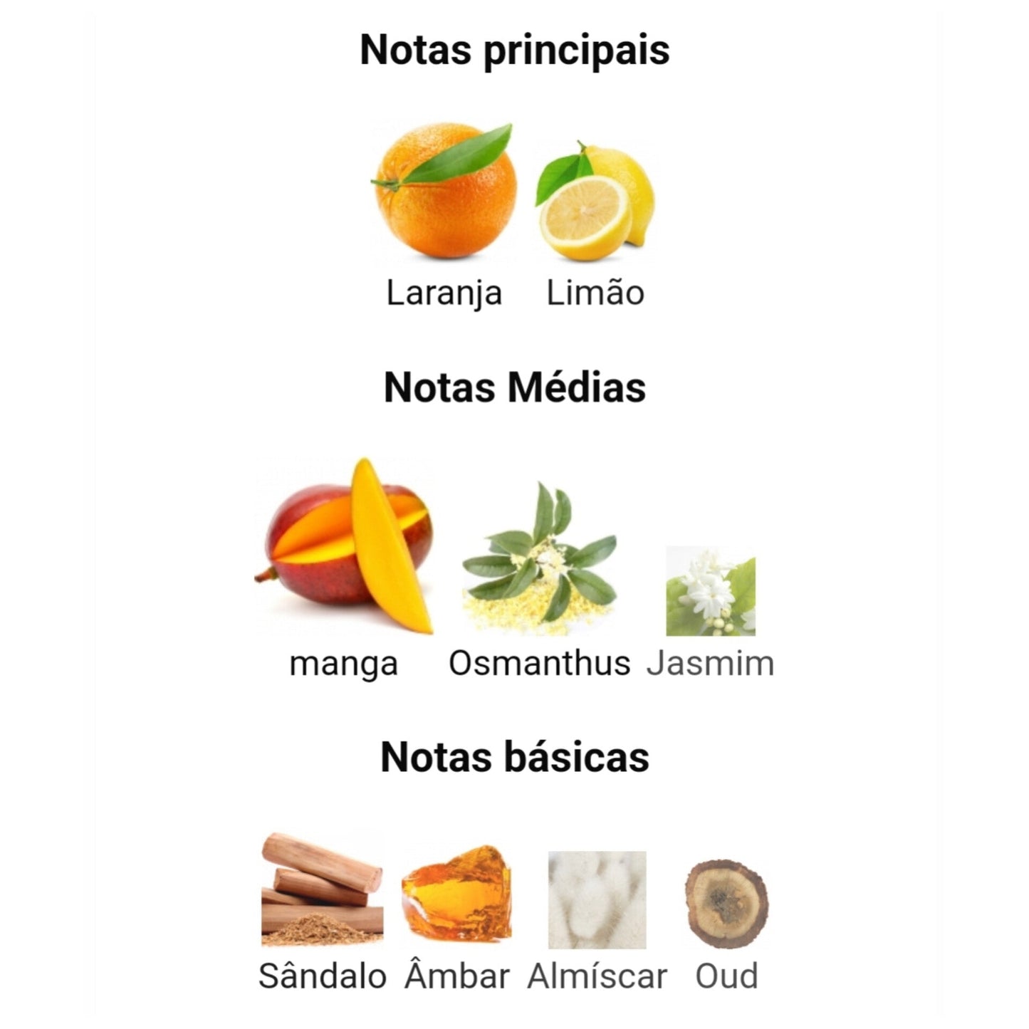 Ajayeb Dubai Portrait | 100ml – Lattafa