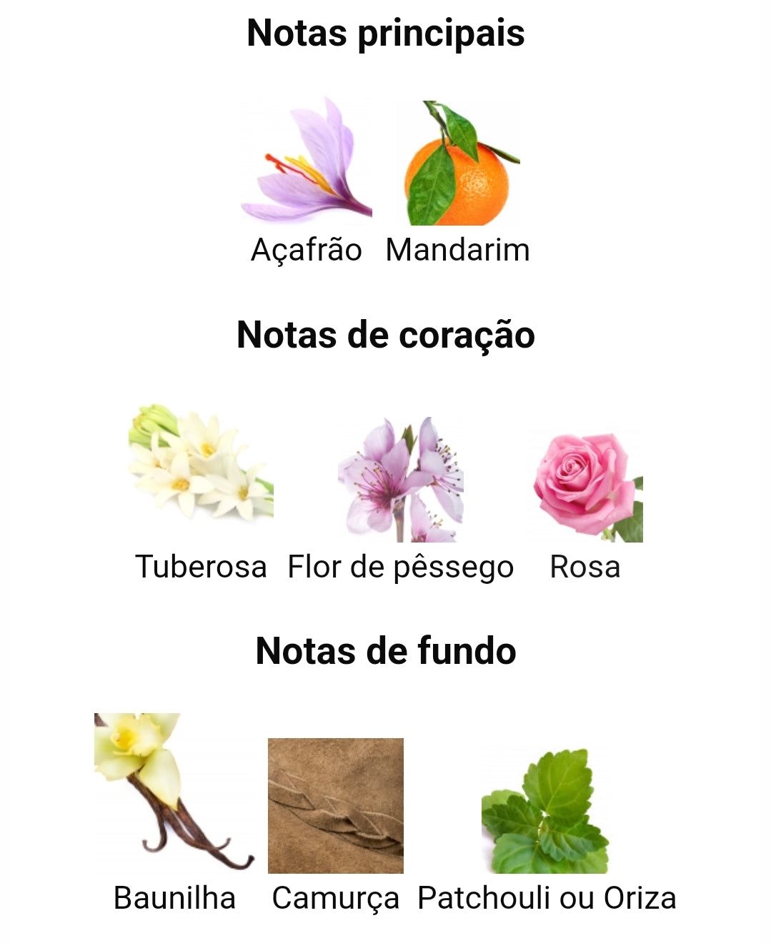 Sondos 100ml - Lattafa – imagem 3