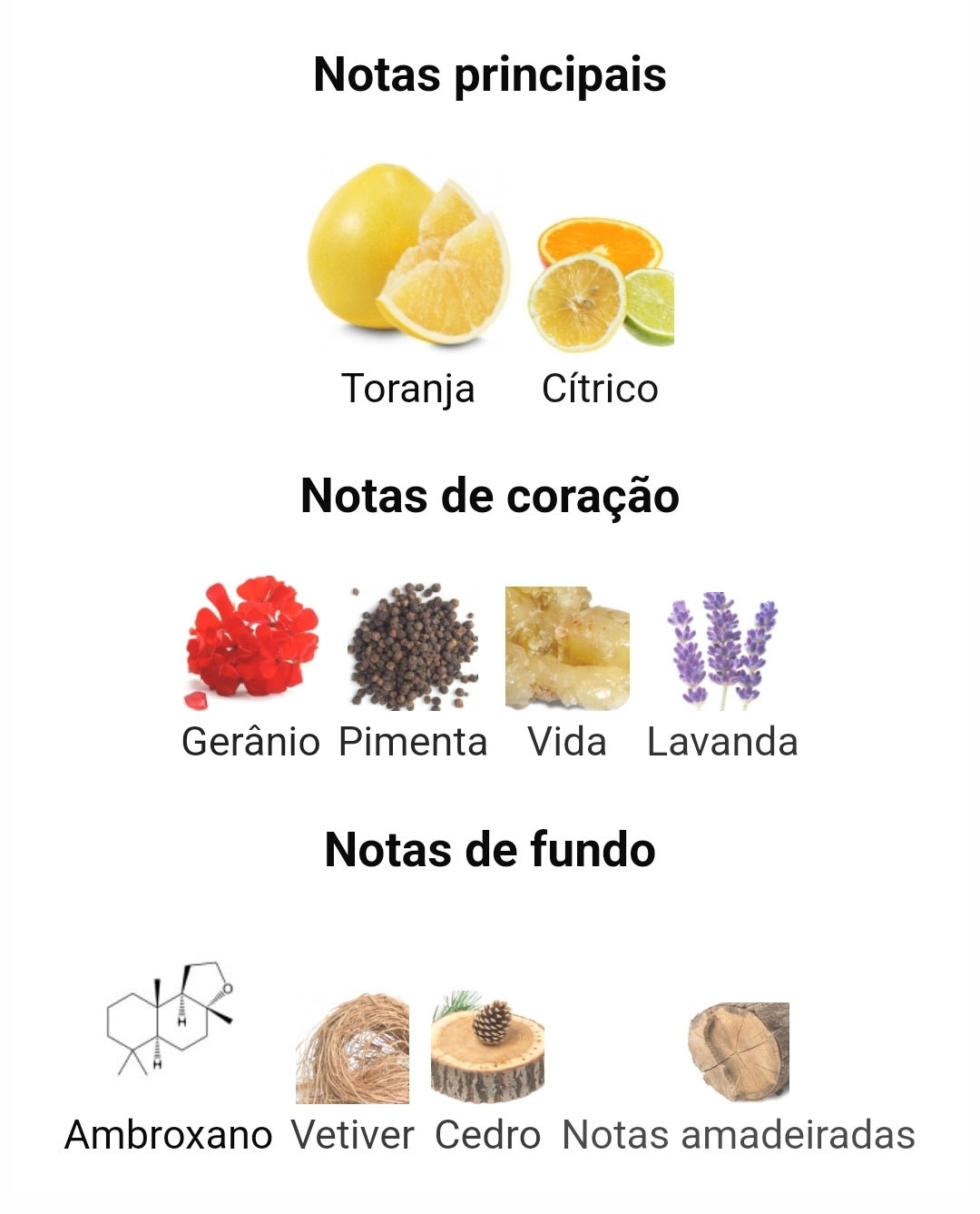 Edición especial del Tirano Odisea | 100 ml - Armaf 