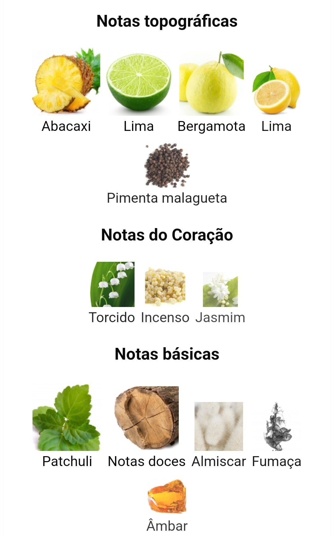 Al Dana 100ml - Lattafa – imagem 3