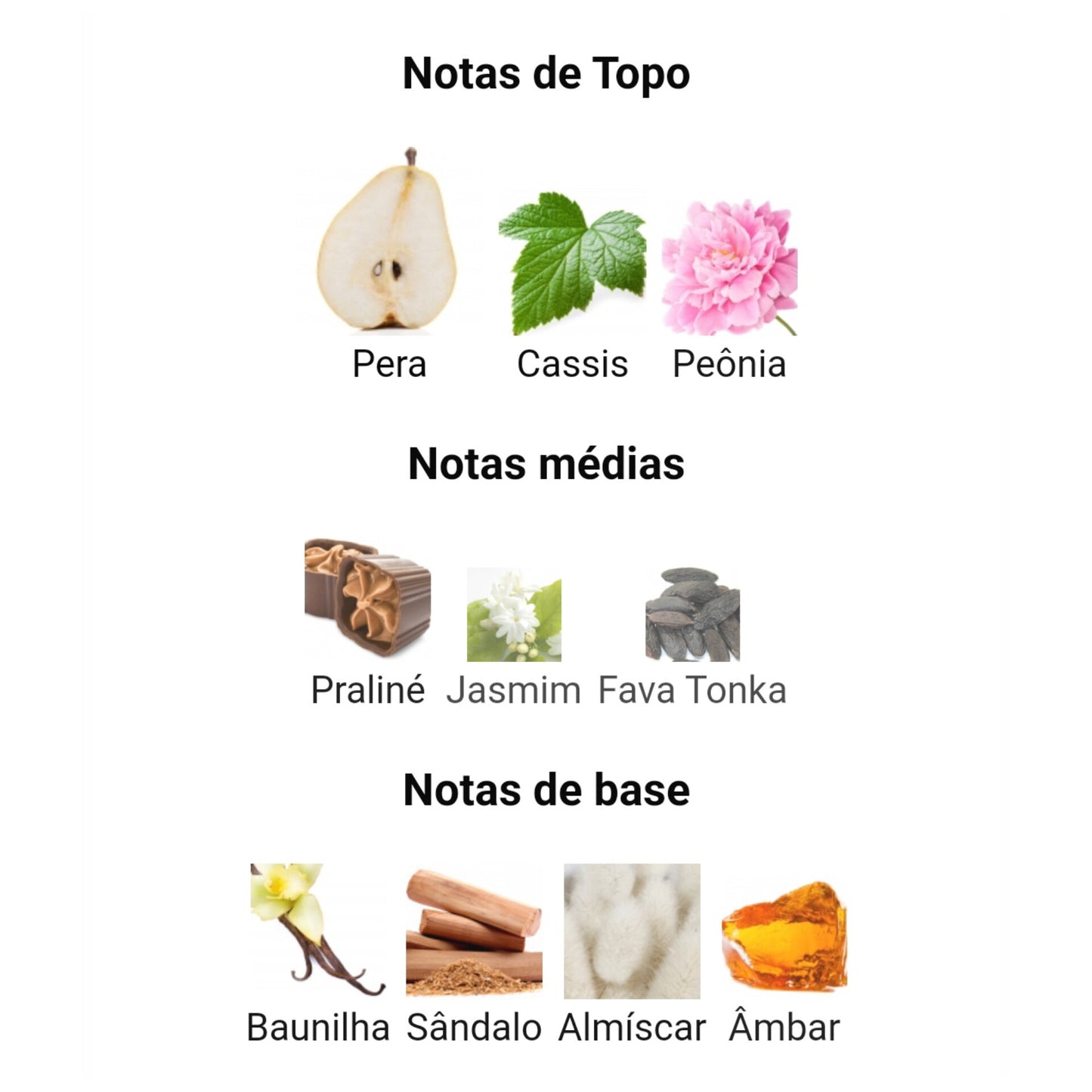 Las Mujeres del Reino | 100ml - Lattfa 