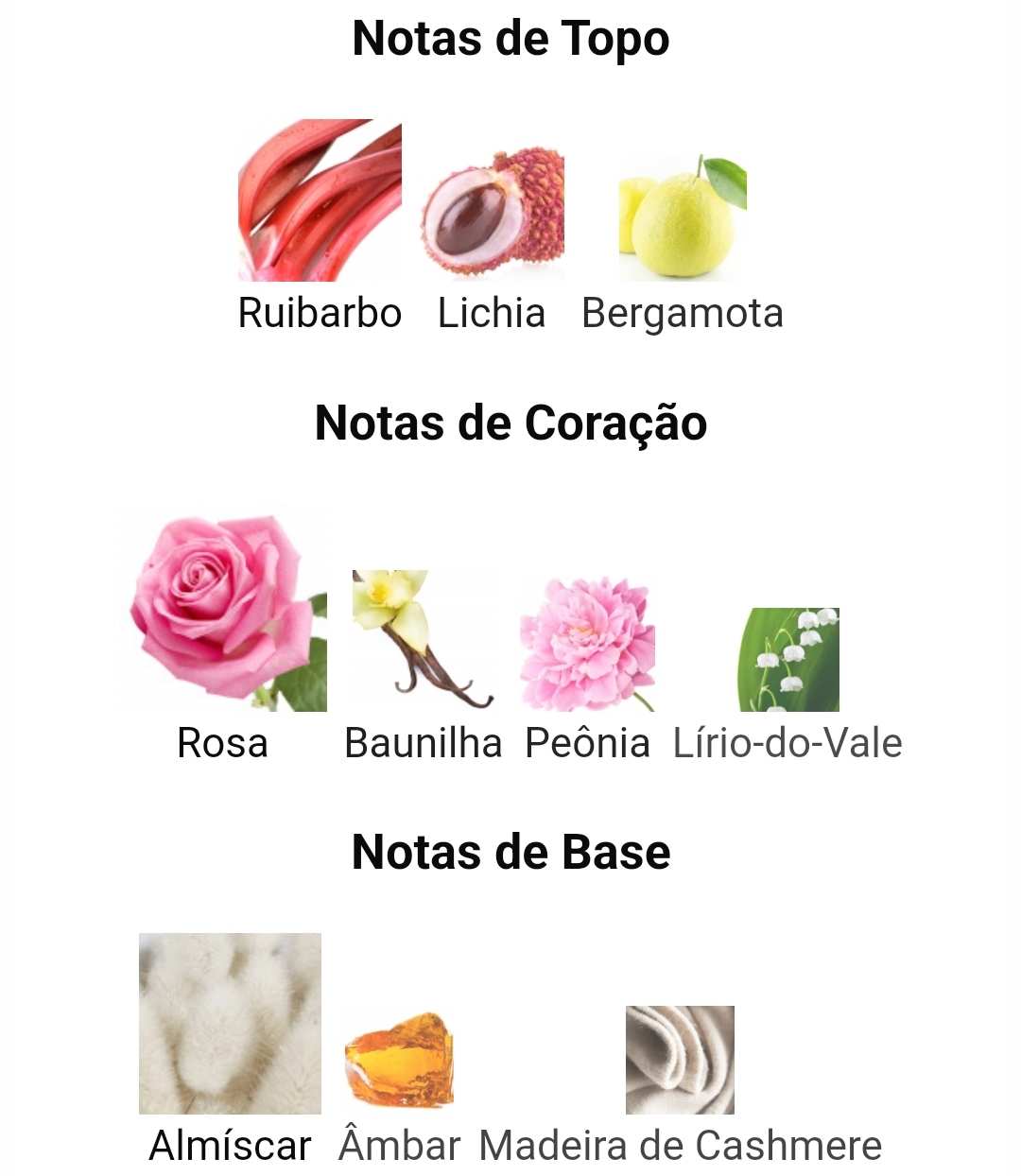 Recuerdo de ramo de flores | 100 ml - Afnan 