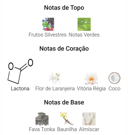 Island Bliss | 100ml – Armaf