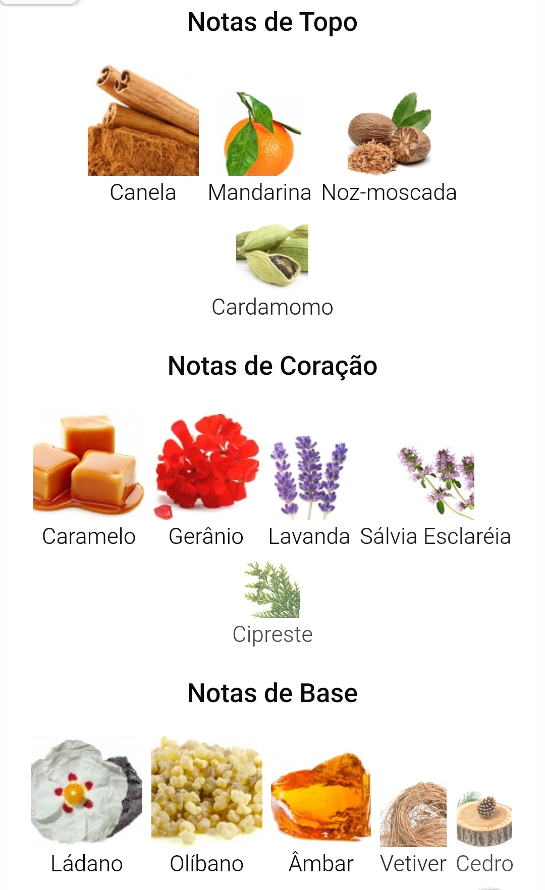 Qaed Al Fursan Untamed | 90?ml – Lattafa