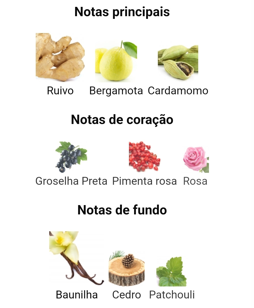 Spectre Ghost | 80ml – French Avenue