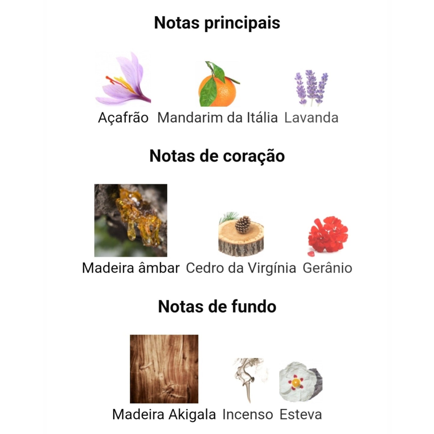 Musamam | 100ml - Latafa 