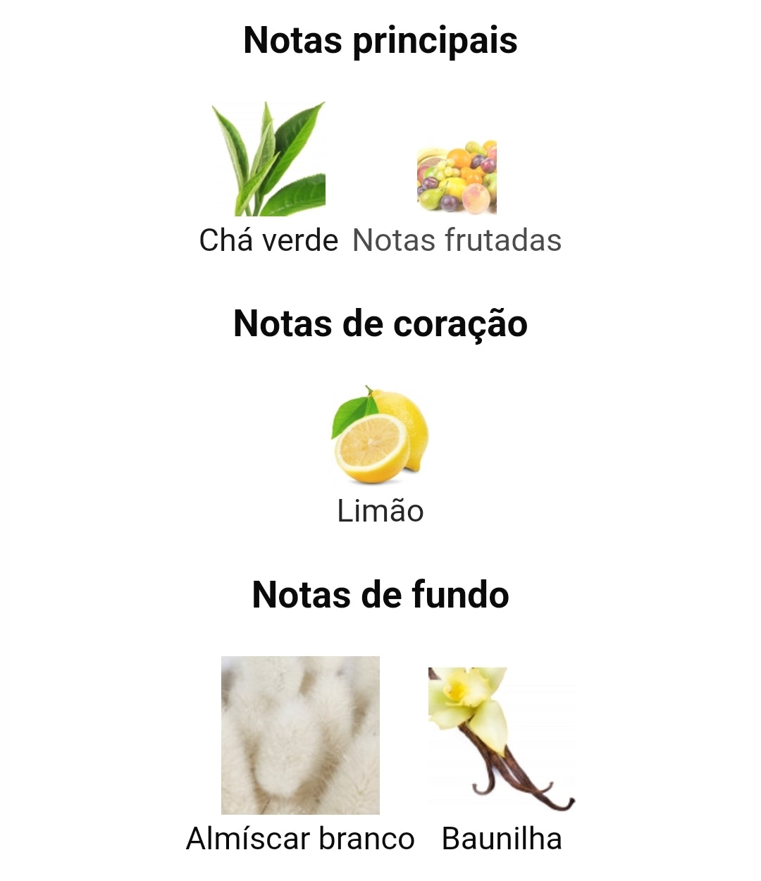 almizcle vainilla salvaje | 100ml - Latafa 